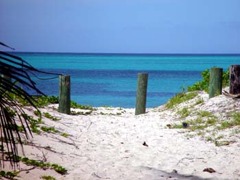 Bahamas Charter Beaches